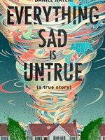 everything sad is untrue book