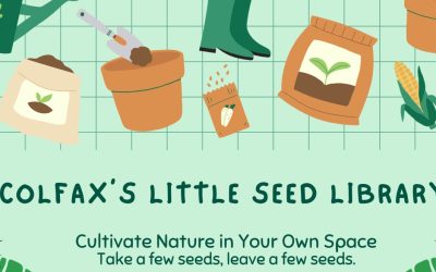 Colfax’s Little Seed Library